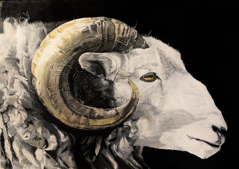 Bélier, Animal