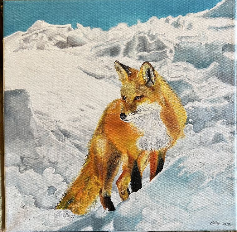 Renard dans la neige, Animal